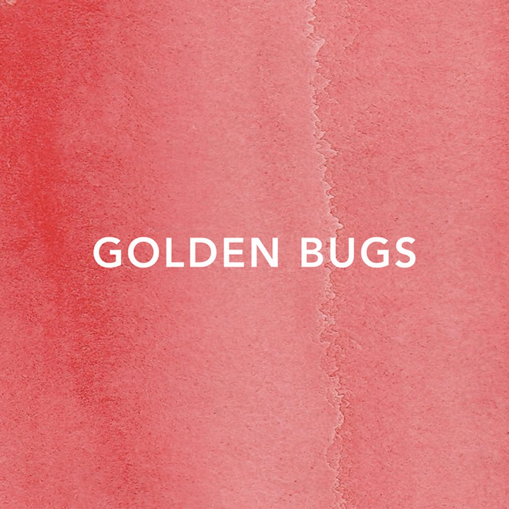 Golden Bugs and the Listeners MIM's Instrumental Rock Is Built For